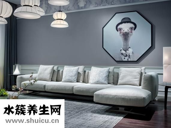 皮質(zhì)衣服發(fā)霉怎么辦