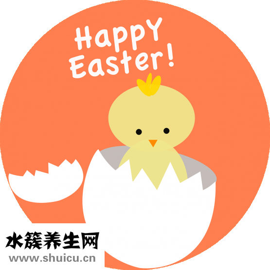 豬腰子怎么煮面