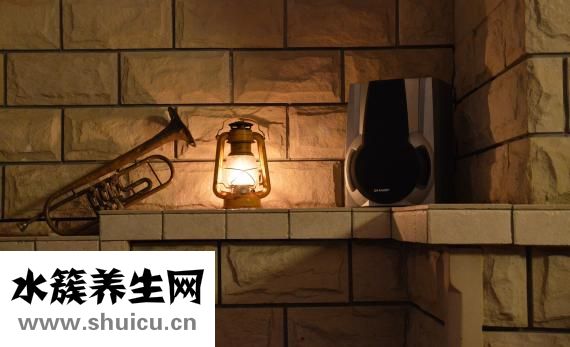 晚上怎么找麂子