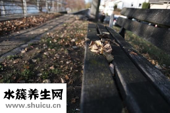 煤火爐晚上怎么辦