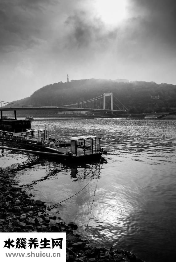 家里有駐木蟲怎么辦