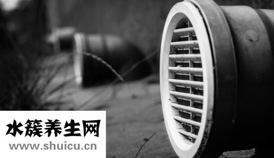 白蘿卜怎么保鮮