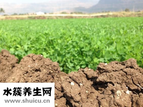 遭人栽贓怎么辦