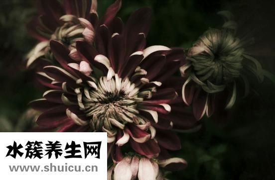 生物技術專長怎么寫