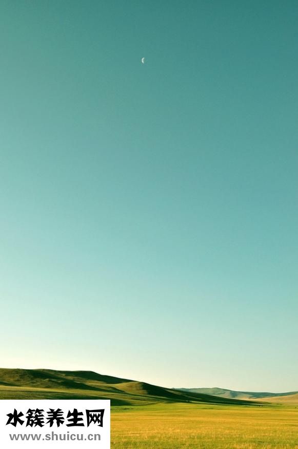 新鮮的人參怎么挑