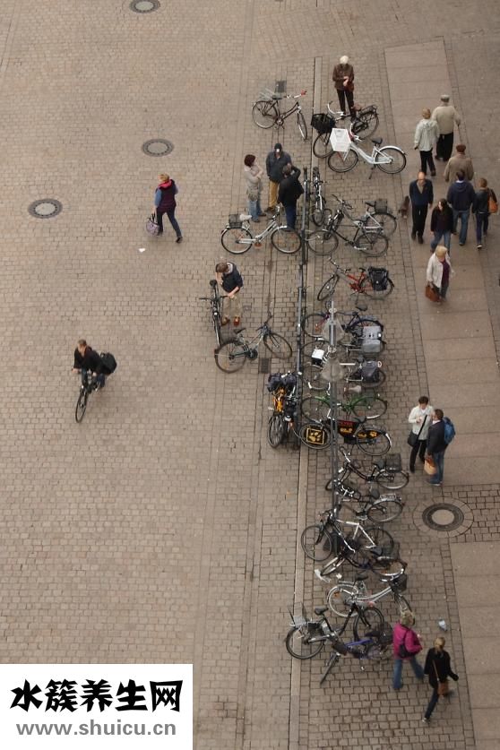 怎么泡萬壽果酒