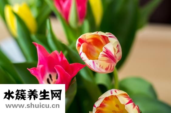 老公不愛衛生怎么辦