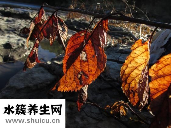 老拉干屎是怎么回事