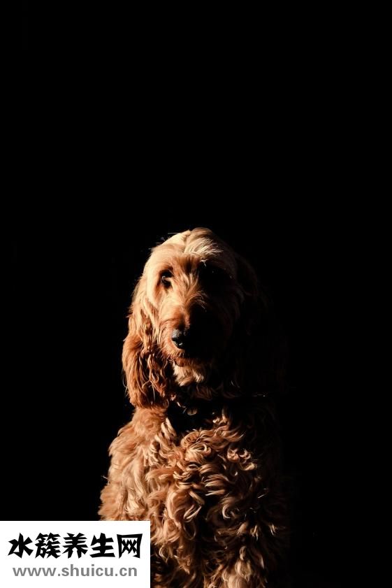 怎么讓汗毛變細(xì)