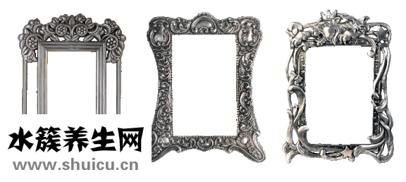 油發(fā)魚肚怎么做好吃