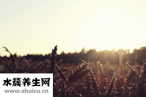 女性衛生巾怎么用