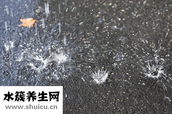 狗狗長腫瘤怎么辦