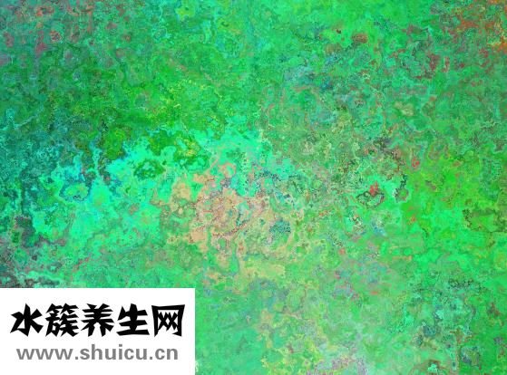 混色毛衣泛黃怎么辦