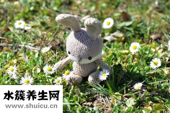 生兔肝怎么做好吃