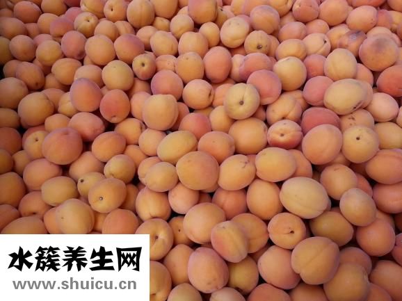 怎么判斷腎虛脫發