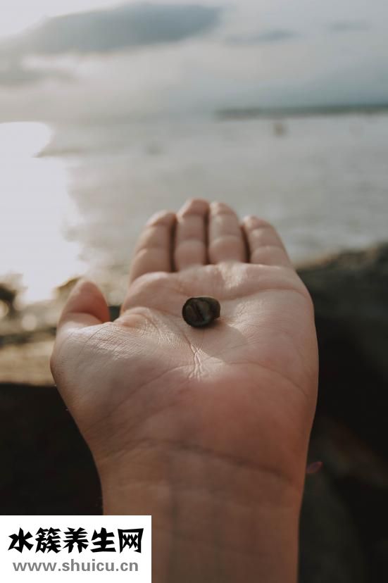 燒烤怎么烤才不會(huì)焦