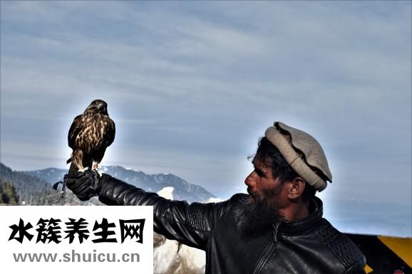 天畔歡娛事怎么解釋