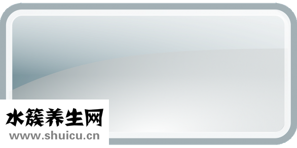 攤面餅的面糊怎么調(diào)