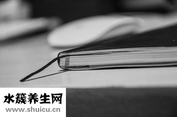 燒烤怎么烤才不會(huì)焦