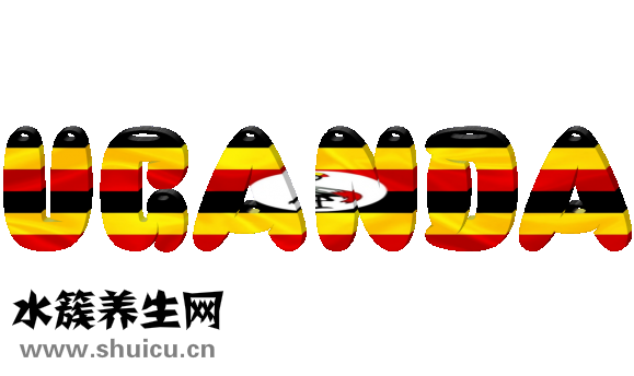 怎么查看以前的量比