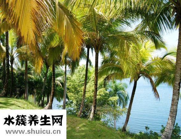 男生怎么走臺步