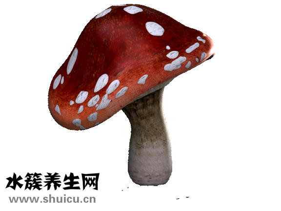 點痦子冒水了怎么辦