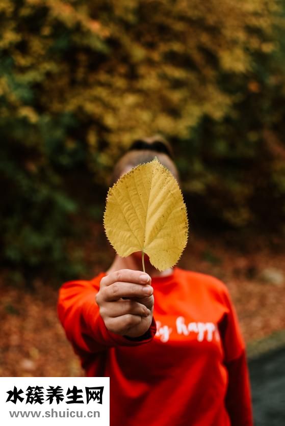 衣服的汗臭怎么除