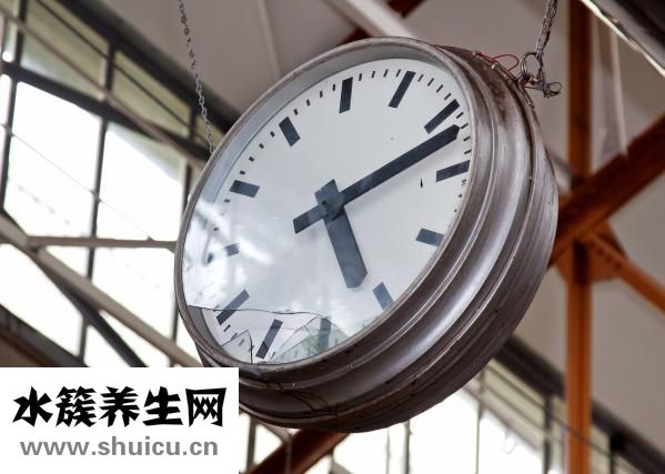 狗疫苗怎么保存