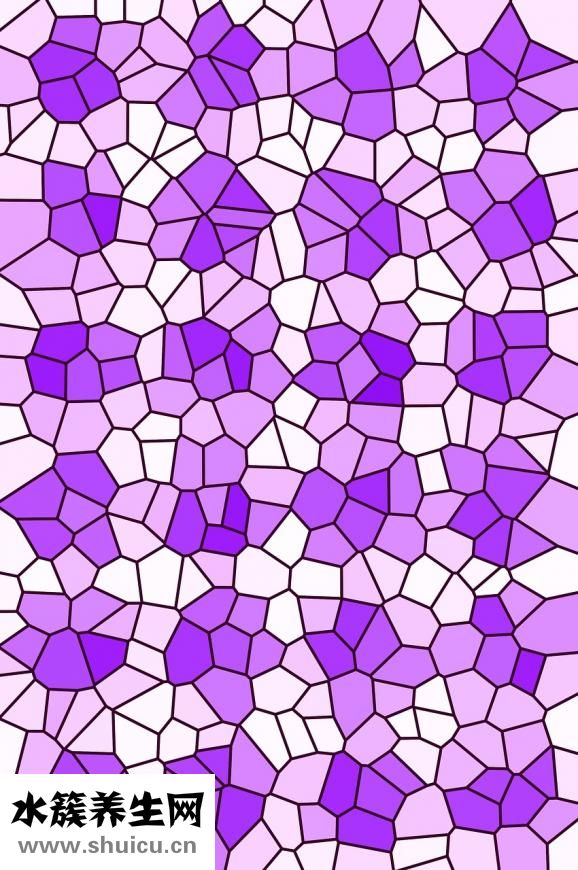 柚子很苦怎么辦