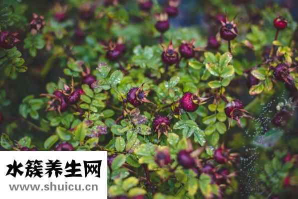 平然是怎么解釋