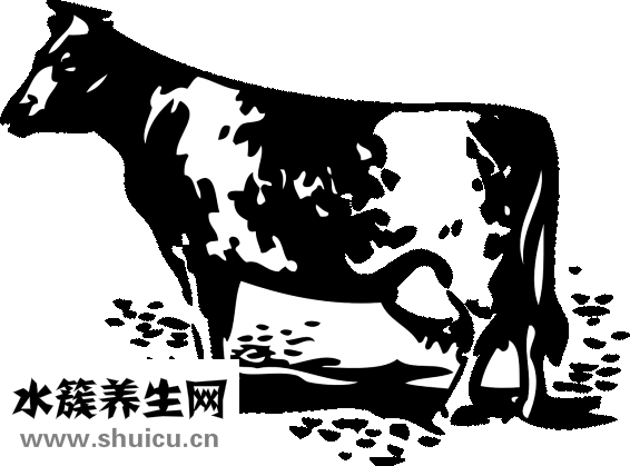 牛肉怎么煮不縮水