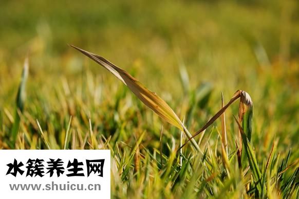 怎么形容親和力