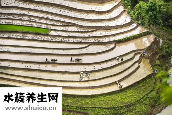 易簡理發器怎么拆裝