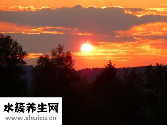 易簡理發器怎么拆裝