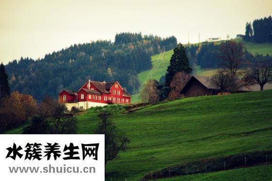 眼袋青色怎么回事