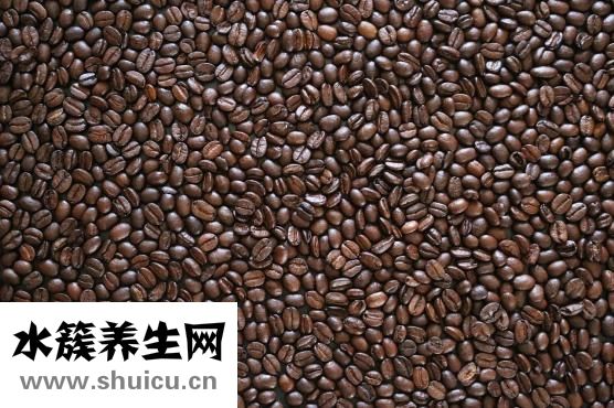 怎么防止臭椿象