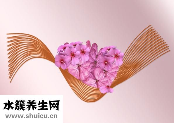 手術標本怎么檢查