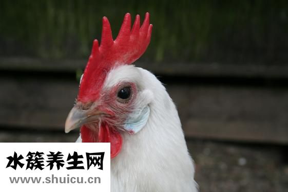 易簡理發器怎么拆裝