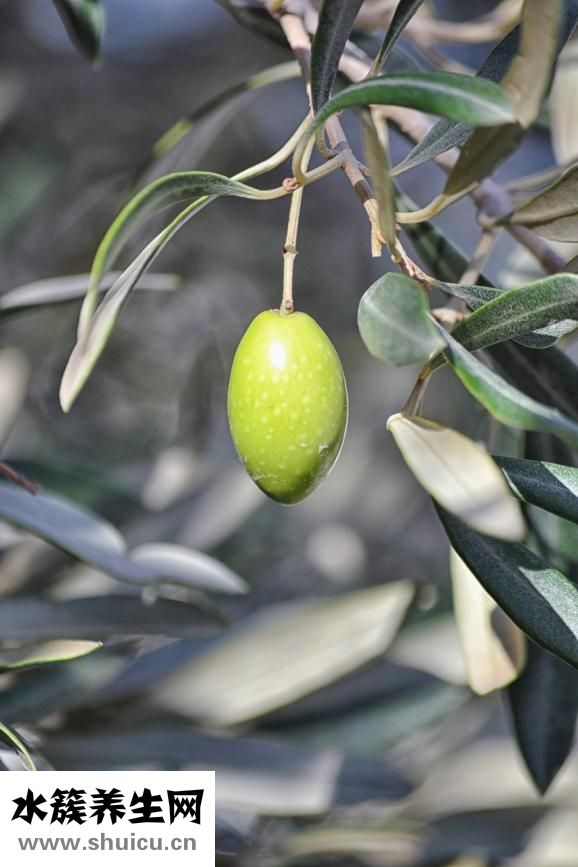 平然是怎么解釋