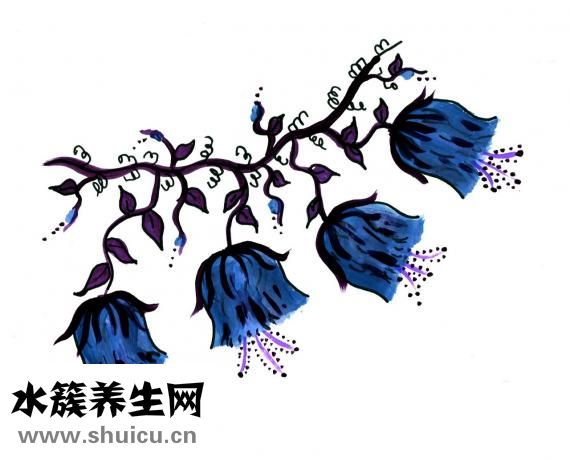 炒蝦仁發(fā)苦怎么回事