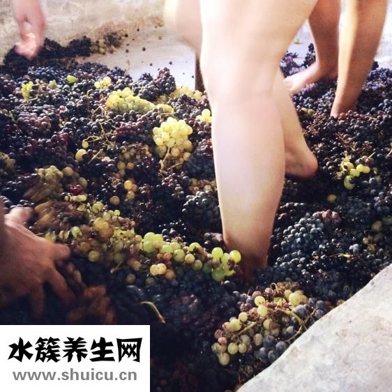 腮部肉多臉大怎么辦