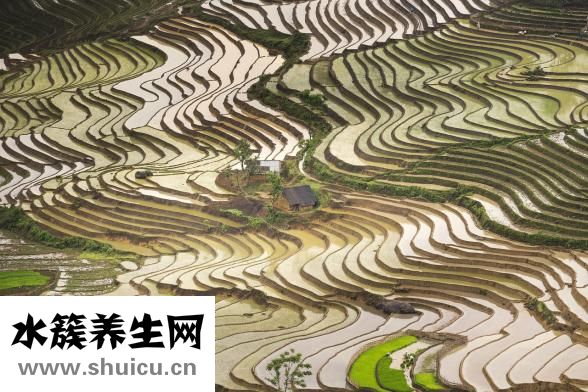 易簡理發器怎么拆裝