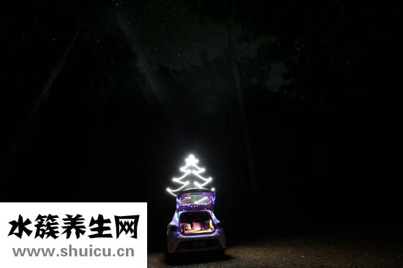 狗疫苗怎么保存