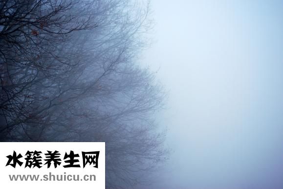 草莓怎么放冰箱