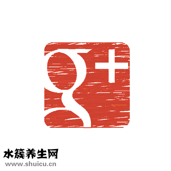 社會撫養費要怎么交