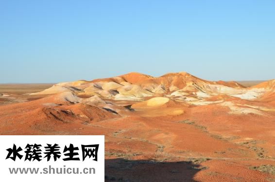 能怎么不想男人