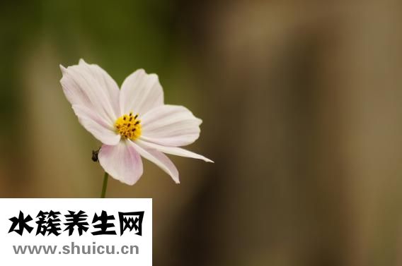 怎么使腦袋清醒