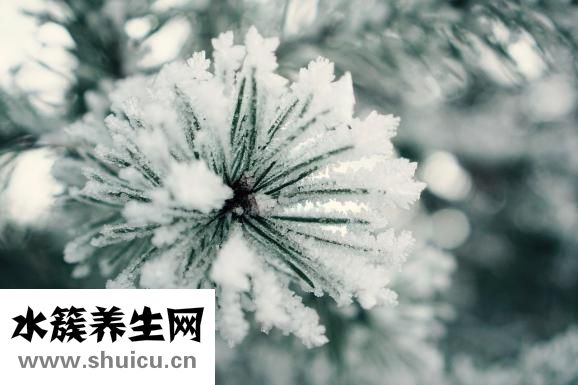 草莓怎么放冰箱