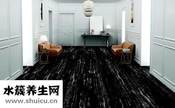 家具樹怎么種植