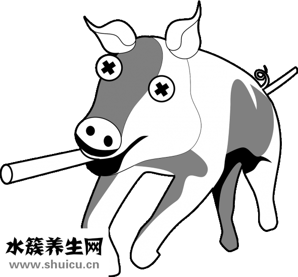 滑溜肉片怎么做